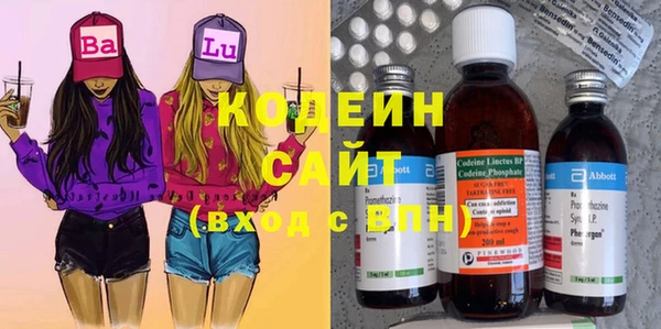 метадон Каменка